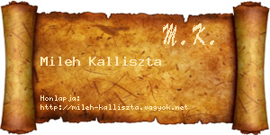 Mileh Kalliszta névjegykártya